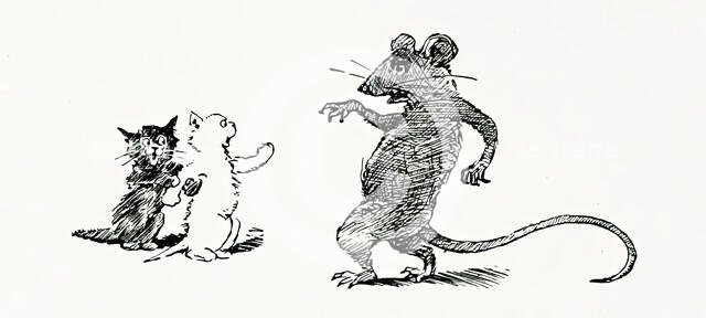 Kittens and rat, 1894.  Creator: Unknown.