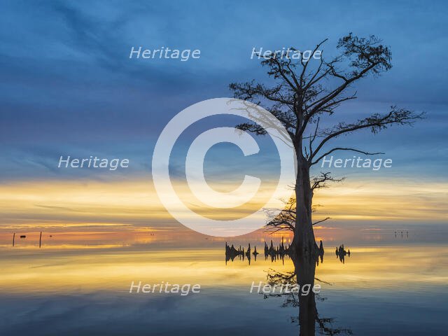 Celebrate the Evening. Creator: Eve Turek.