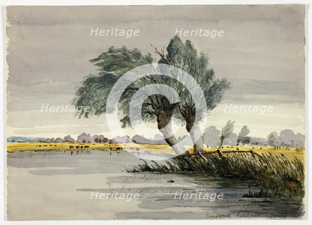 Cringleford Meadows-Morning, n.d. Creator: Unknown.