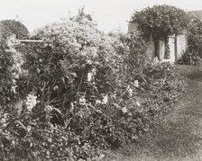 "Gray Gardens," Robert Carmer Hill house, Lily Pond Lane, East Hampton, New York, c1916. Creator: Frances Benjamin Johnston.