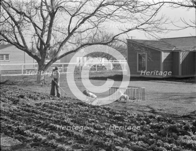 El Monte federal subsistence homesteads, California, 1936. Creator: Dorothea Lange.