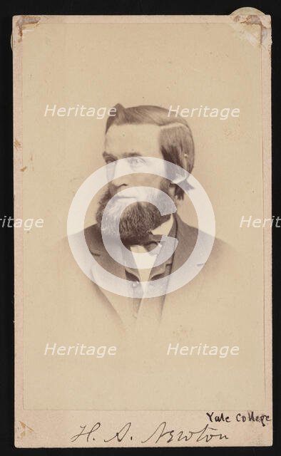 Portrait of Hubert Anson Newton (1830-1896), 1870-1877.  Creator: Sarony & Co.