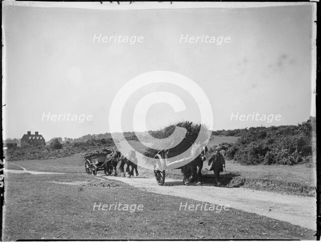 Chorleywood Common, Chorleywood, Three Rivers, Hertfordshire, 1915. Creator: Katherine Jean Macfee.