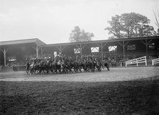 Horse Shows - Demns - By Ft. Myer Cav., 1910. Creator: Harris & Ewing.