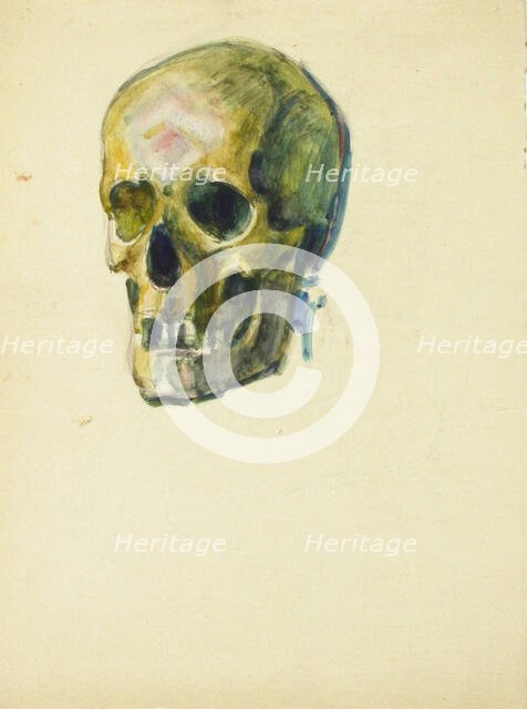Skull, c1910s. Creator: Verner Thome.