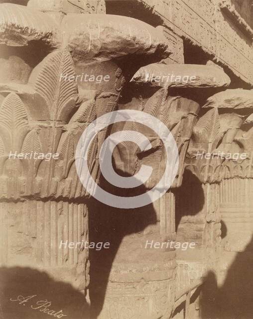 Capitals of the Temple of Esna, between 1860 and 1903. Creator: Antonio Beato.