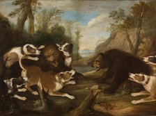 Dogs Fighting with Bears, 1st quarter of 18th century. Creator: Joseph Anton Harzath.