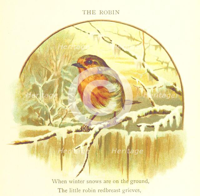 The Robin, 1893. Creator: Jessie Hall.