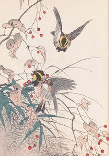 The Four Seasons Bird and Flower Albums (Keinen Kacho Gafu), 1891-1892. Creator: Keinen, Imao (1845-1924).
