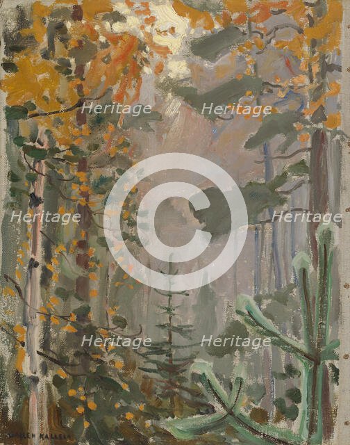 Autumn Landscape, 1911. Creator: Akseli Gallen-Kallela.