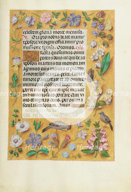 Decorated Text Page; Spinola Hours, about 1510-1520. Creator: Unknown.