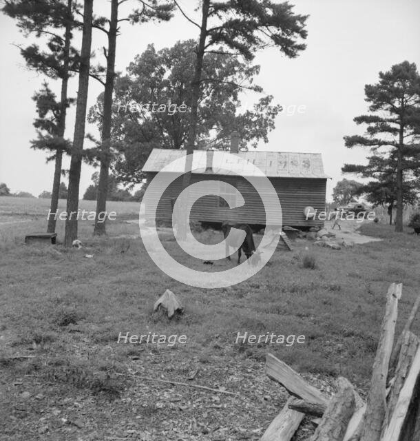 Possibly: Negro sharecropper house seen from rear, Person County, North Carolina, 1939. Creator: Dorothea Lange.