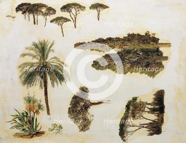 Tree Studies from Rome, 1846. Creator: Ferdinand Georg Waldmuller.