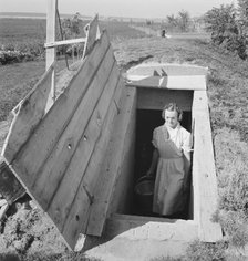Mrs. Botner's storage cellar on Botner farm, Nyssa Heights, Malheur County, Oregon, 1939. Creator: Dorothea Lange.