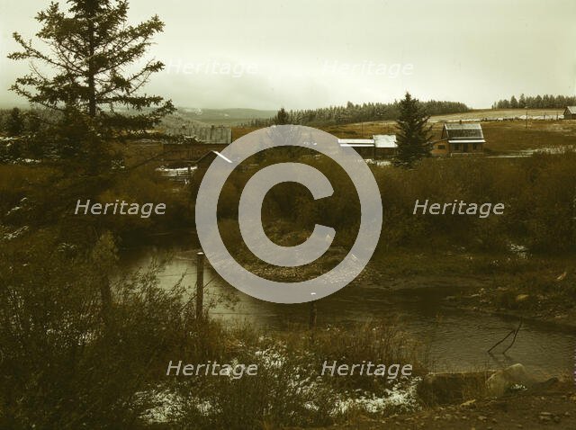 First snow of the season in the foothills of the Little Belt Mount..., Meagher County, Montana, 1942 Creator: Russell Lee.