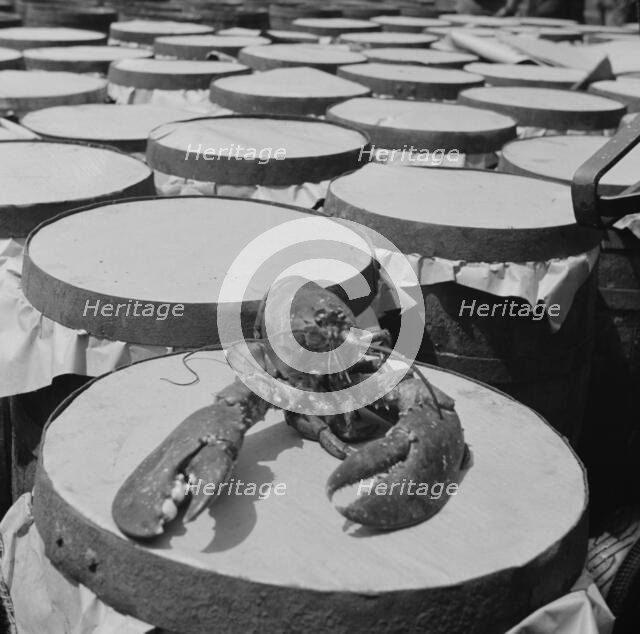 Possibly: A large lobster brought in by the New England fishing boat Fulton..., New York, 1943. Creator: Gordon Parks.