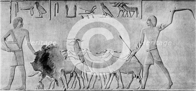 Sheep treading in seed, Ancient Egyptian tomb relief carving, c2000 BC. Artist: Unknown