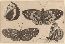 Four Butterflies, 1646. Creator: Wenceslaus Hollar.