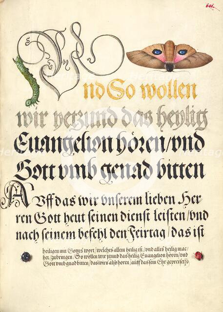 Horntail Caterpillar, Eyed Hawk-Moth, Beetle, Two-Spot Ladybird, 1561-1562; illumination added 1591- Creator: Joris Hoefnagel.