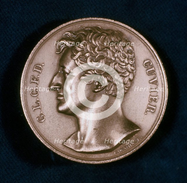 Georges Leopold Chretien Frederic Dagobert, Baron Cuvier, French anatomist, 19th century. Artist: Unknown