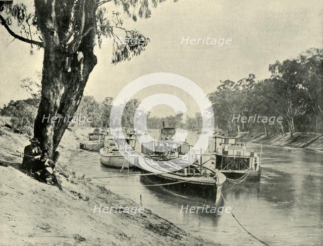 'Murray Barges and Steamboats at Echuca', 1901. Creator: Unknown.