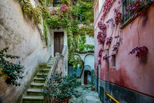 Positano Garden, Italy. Creator: Viet Chu.