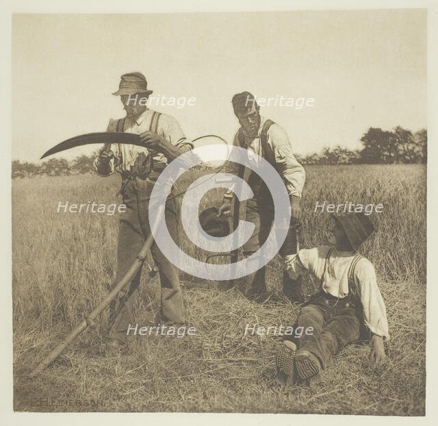 In the Barley-Harvest (Suffolk), 1883/87, printed 1888. Creator: Peter Henry Emerson.