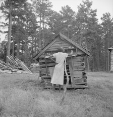 Tobacco sharecropper's daughter getting eggs..., Person County, North Carolina, 1939. Creator: Dorothea Lange.