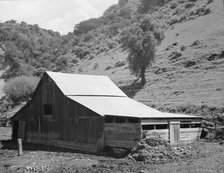 Barn in a valley back of Mission San Jose, Santa Clara County, California, 1939. Creator: Dorothea Lange.