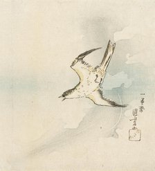Hototogisu, Mid-19th century. Creator: Utagawa Kuniyoshi.