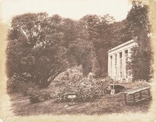 Penrice Garden, 1853-56. Creator: John Dillwyn Llewelyn.
