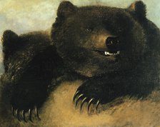 Weapons and Physiognomy of the Grizzly Bear, 1846-1848. Creator: George Catlin.