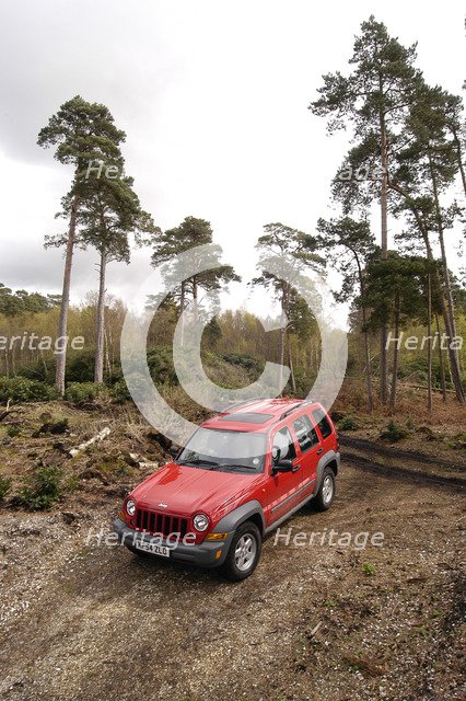 2004 Jeep Cherokee Artist: Unknown.