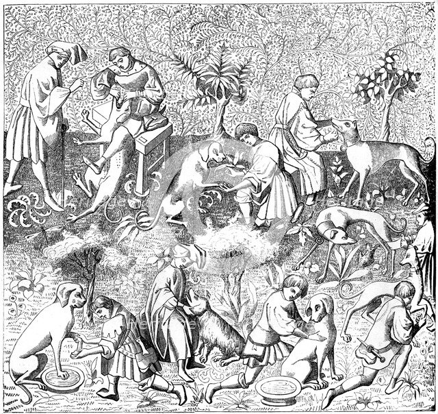 Diseases of dogs and their cures, 14th century (1849). Artist: Unknown