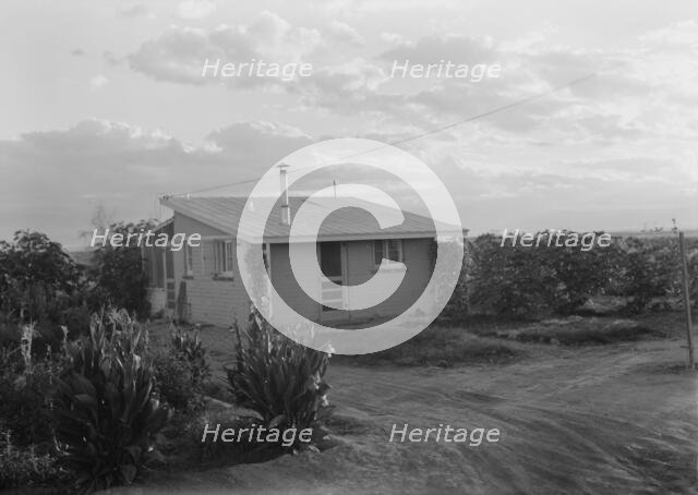 Type house at "Garden Homes", Kern County, California, 1938. Creator: Dorothea Lange.