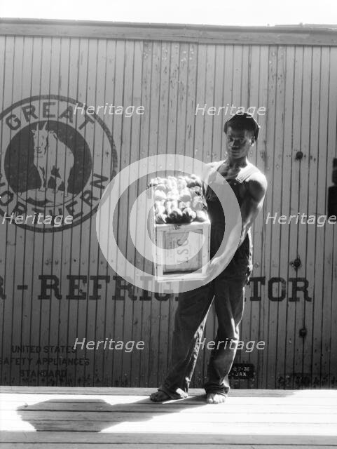 Migrant shed worker, Northeast Florida, 1936. Creator: Dorothea Lange.