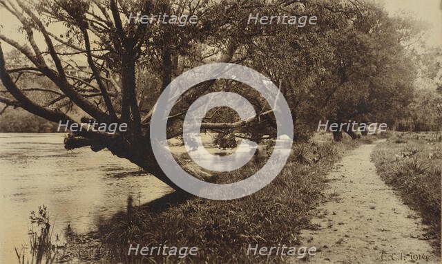 By the Waikato, 1916. Creator: ECI.