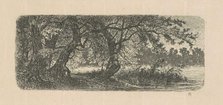 Water Elms, 1870s-1880s. Creator: Carl C. Brenner.