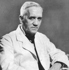 Alexander Fleming, Scottish bacteriologist, c1930s. Artist: Unknown