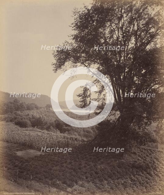 Picturesque Susquehanna, Near Laceyville, c. 1895. Creator: William H Rau.