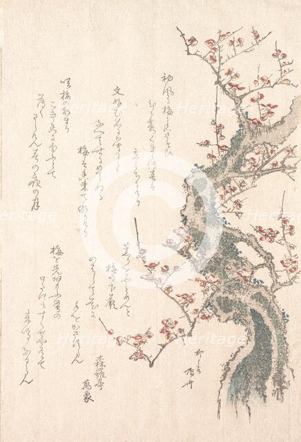 Spring Rain Collection (Harusame shu), vol. 1: Plum Tree in Bloom, ca. 1805-10., ca. 1805-10. Creator: Shinsai.