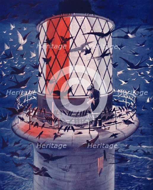 'Migrant Birds Visit the Lighthouse', 1935 . Artist: Unknown.