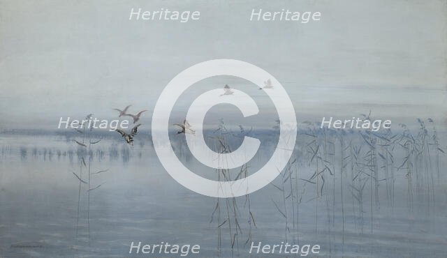 Ducks over Swamps, 1892. Creator: Stanislaw Maslowski.