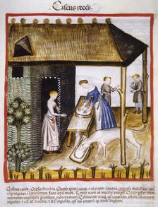 Fresh or unmatured cheese, 14th century.  Creator: Unknown.