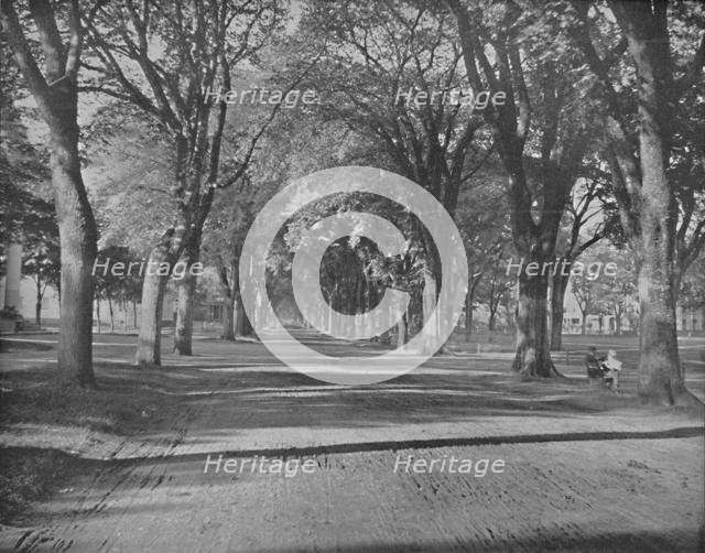 'The Elms," New Haven, Conn.', c1897. Creator: Unknown.