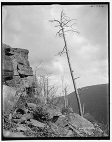 Sunset Rock, Kaaterskill Clove, Catskill Mountains, N.Y., c1902. Creator: Unknown.