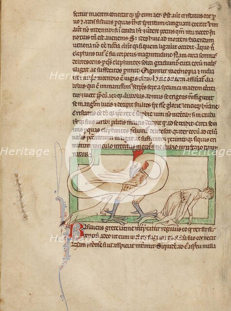 A Basilisk; Northumberland Bestiary, about 1250-1260. Creator: Unknown.