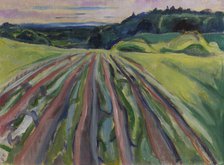 Ploughed field, 1916.