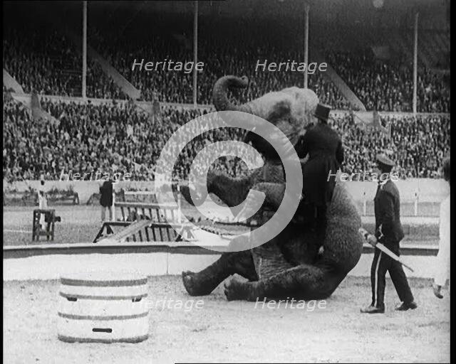 An Elephant Sitting on its Hind Legs as a Man Climbs up It, 1924. Creator: British Pathe Ltd.