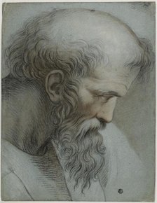 Head of Pythagoras, 18th century. Creator: After Raffaello Sanzio, called Raphael  Italian, 1483-1530.